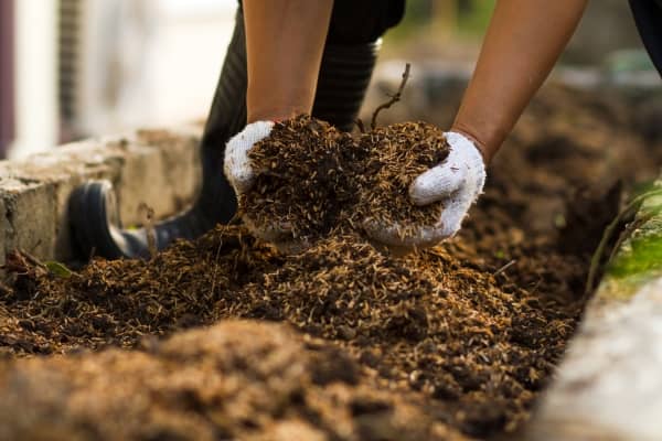 Mon activateur de compost 