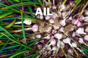 ail