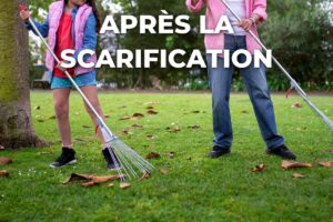 ratissage d'une pelouse à deux, le ramassage qui suit après avoir scarifié sa pelouse