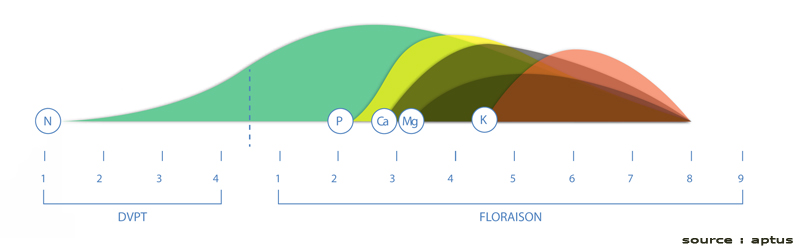 aptus schema de culture