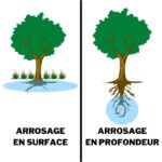 arrosage enterre