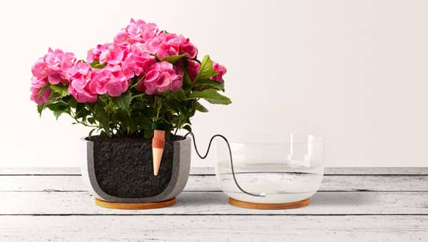 arrosage pour plantes en pot