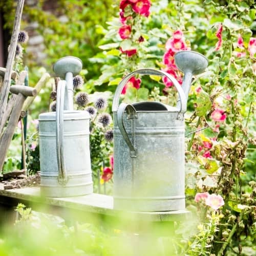 Arrosoir 1L Avec Goutteurs Auto - Pour Plantes Intérieur - Yarotm - Irrigation Automatique