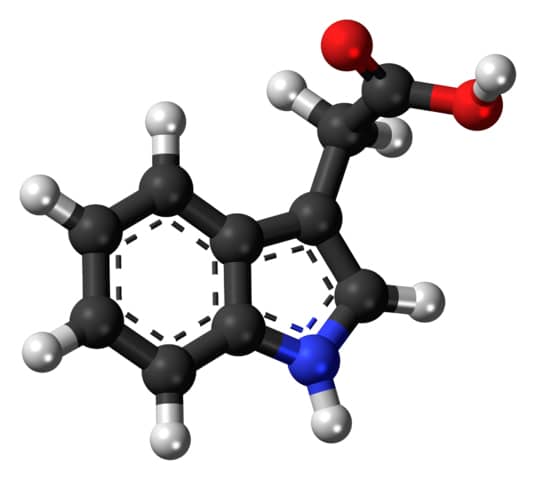 auxine Indole acetic acid d jardinerie alternative colmar