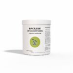 bacillus amyloliquefaciens