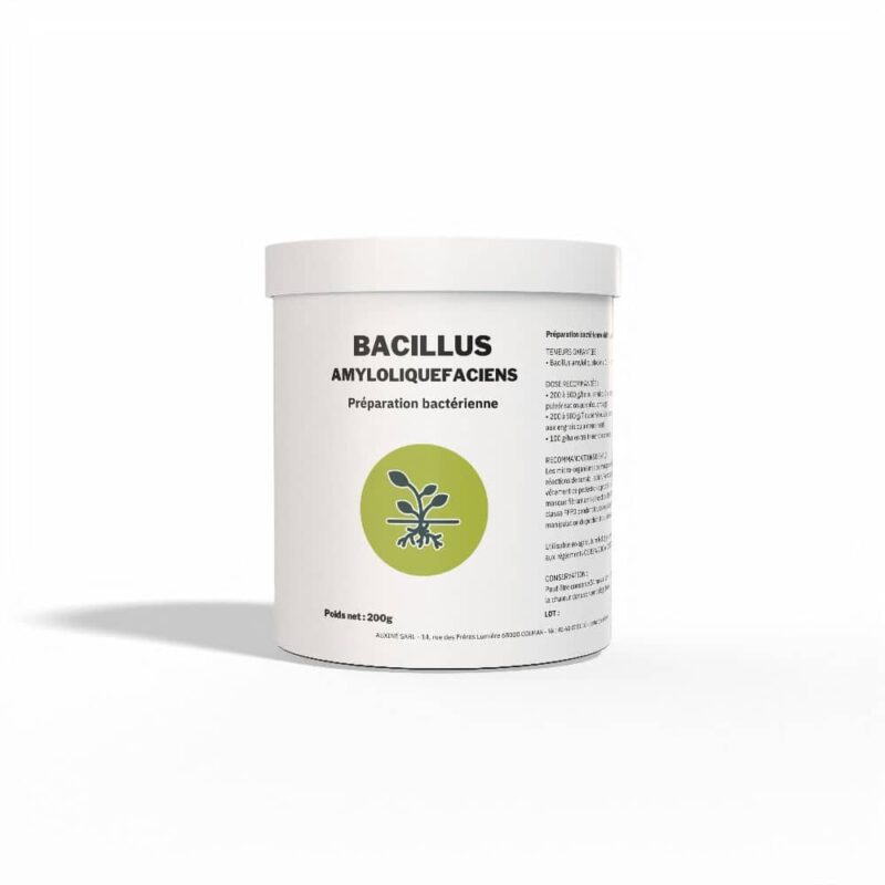 bacillus amyloliquefaciens