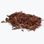 bark smalll eclat de pin wetfarm terrarium