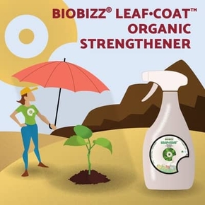 biobizz leaf coat growshop colmar