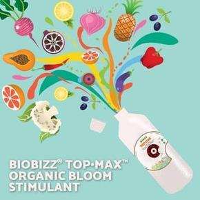 biobizz top max growshop colmar