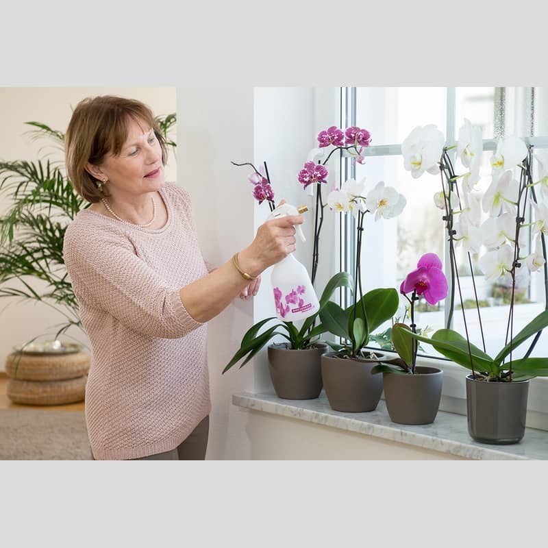 Pulvérisateur de bidons d'eau pour plantes et fleurs, pot d