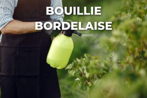 jardinier pulvérisant un traitement préventif au pulvérisateur manuel