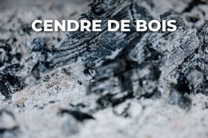 cendre de bois blanche en gros plan, à épandre au jardin