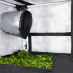 chambre de culture serre semis bouture propagator S 60x40x40 gardenhighpro 6 1