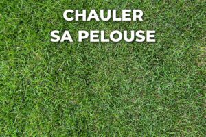 pelouse vue de dessus : la chaux n'y est utile que si le sol est acide