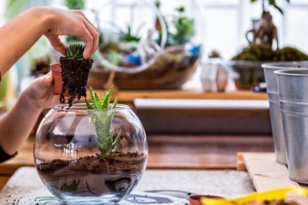 Oiseau d'arrosage à planter en verre