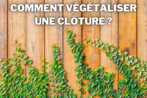 comment vegetaliser une cloture