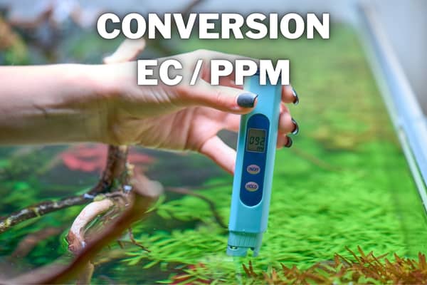 conversion ec ppm