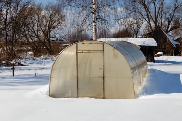 Culture sous serre en hiver - Quelles plantes sont adaptées ?