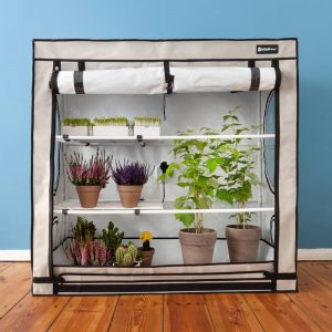 chambre de culture growtent growroom homebox auxine jardinerie alternative colmar