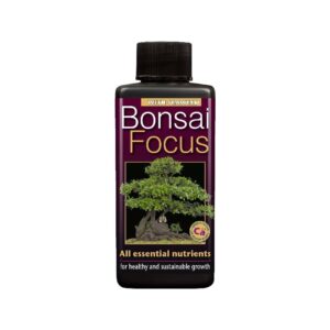 engrais bonsai growth technology bonsai focus