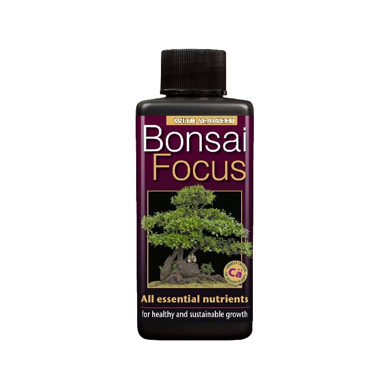 Engrais Bonsaï - GROWTH TECHNOLOGY Bonsaï Focus