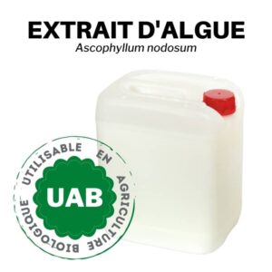 engrais liquide a base d algue ascophyllum nodosum biostimulant