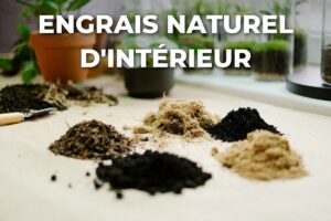 substrats et amendements pour préparer un engrais naturel pour plantes d'intérieur