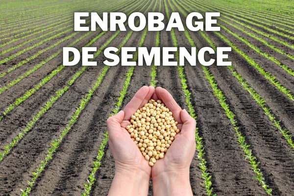 enrobage de semence