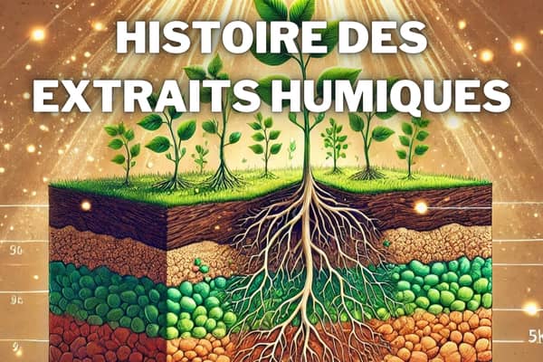 extraits humiques histoire