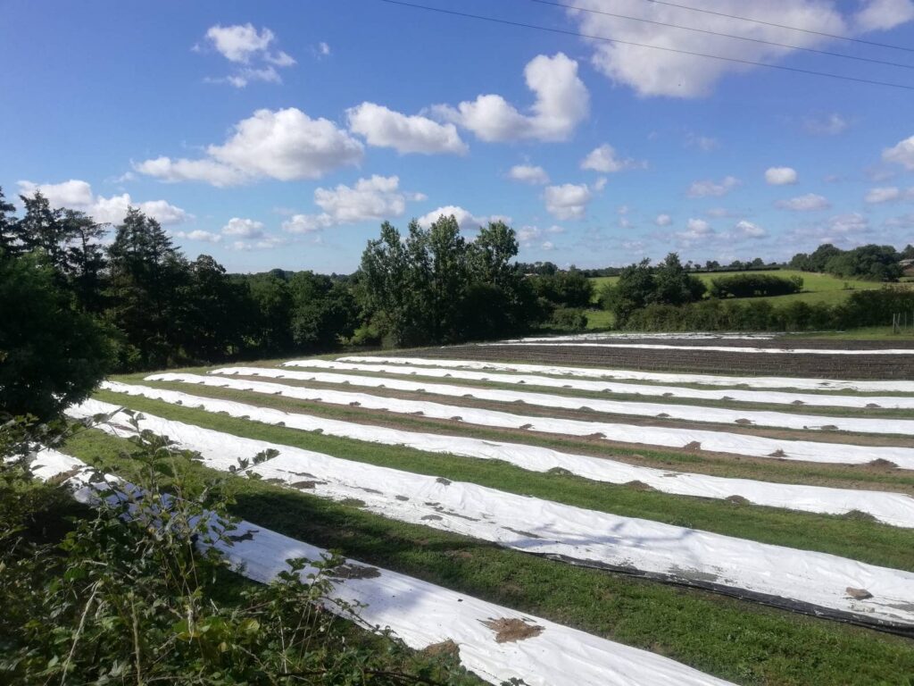 ferme de lombriculture