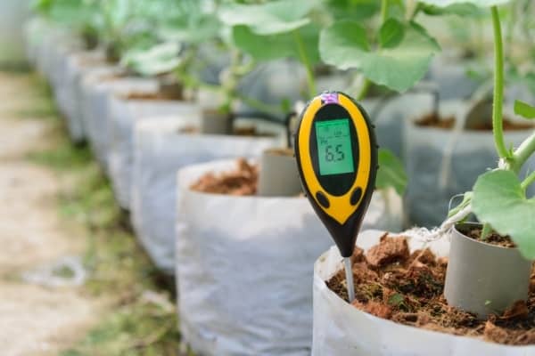 fertilisation ph metre auxine jardinerie alternative colmar