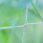 filet palissage maille 15cm photo auxine jardinerie alternative