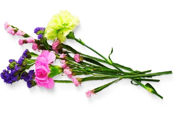 fleurs coupees a offrir