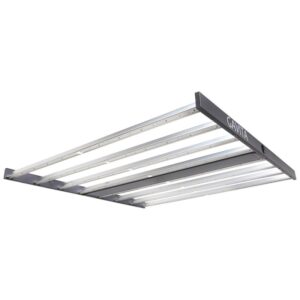 gavita pro 1700e 645w 1