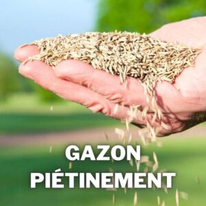 gazon pietinement sol pauvre