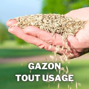 gazon tout usage polyvalent