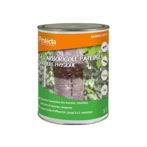 glu arboricole pateuse armosa