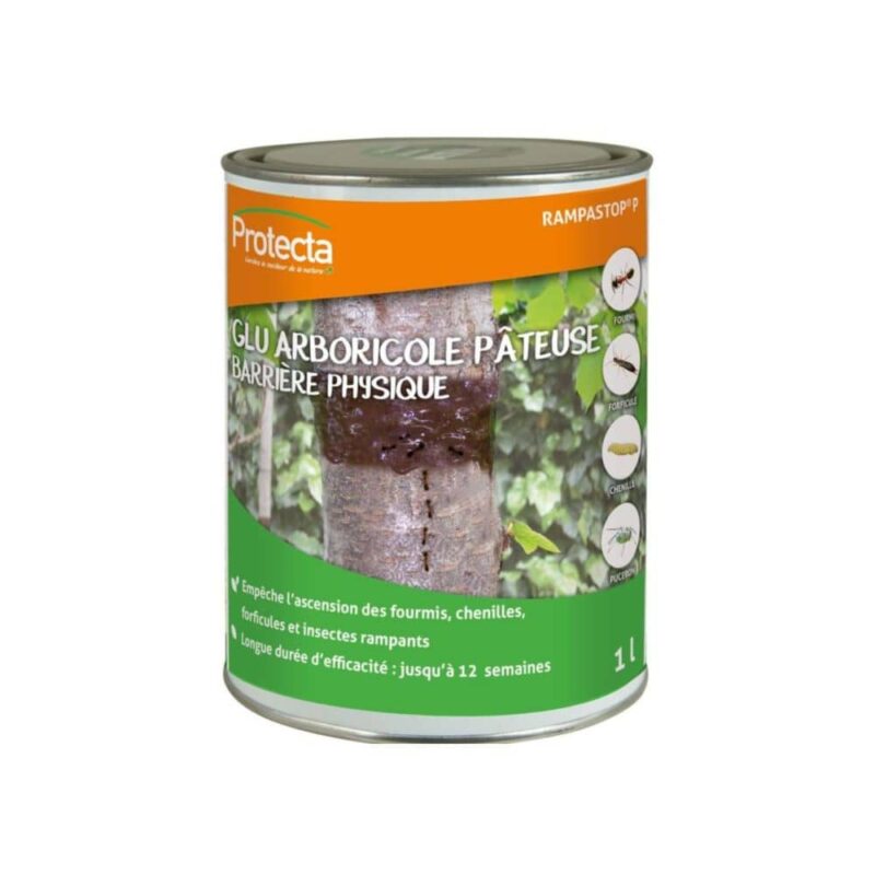 glu arboricole pateuse armosa