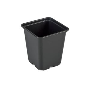 godet 7x7x8cm solide ipp ex