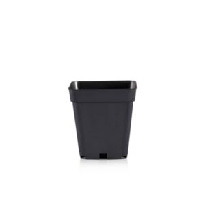 godet teku mqd 9x9x9 5 cm rempotage repiquage tomate pot