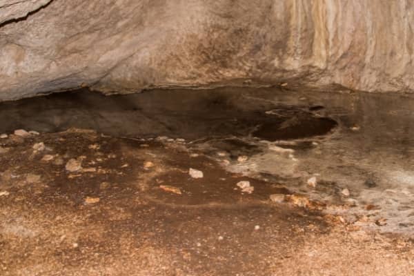 grotte remplie de guano de chauves souris