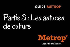 guide metrop partie 3 astuces metrop