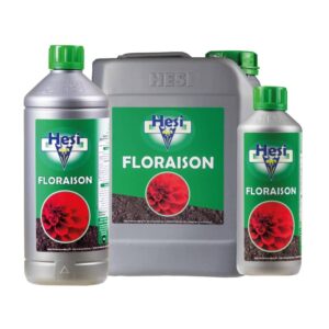 hesi floraison