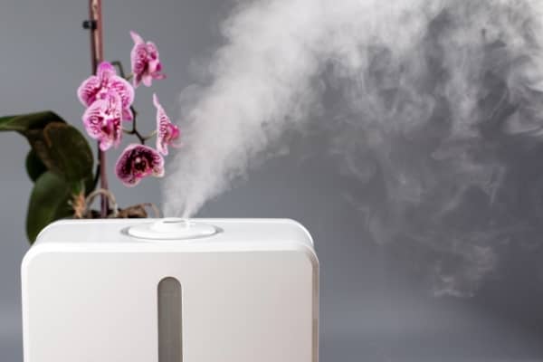 humidificateur