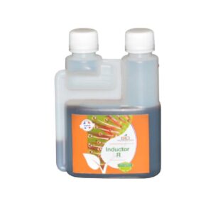 pH Up 250ml VitaLink Essentials - 50% soude - Jardins Alternatifs