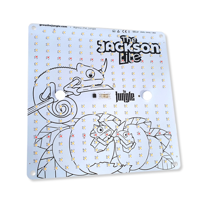 jackson nemesis 100w 1