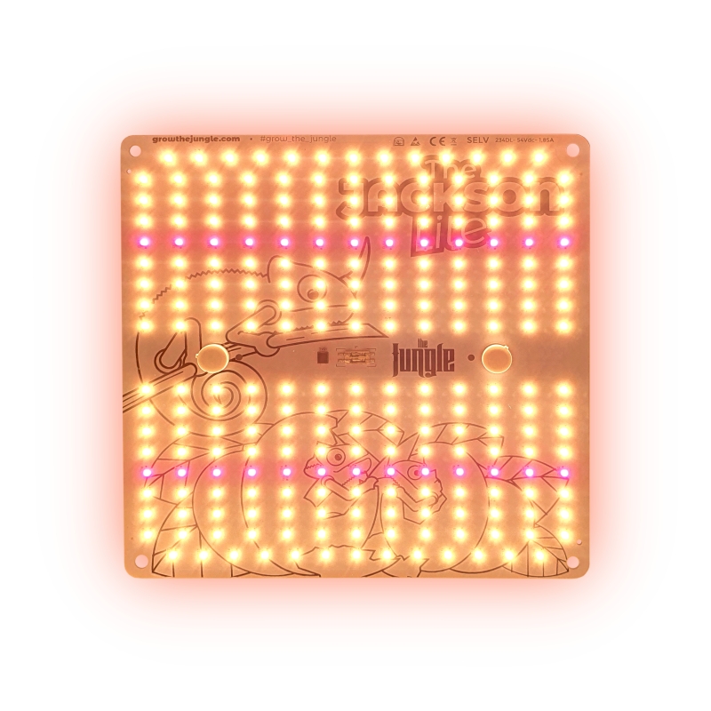 jackson nemesis 100w 2