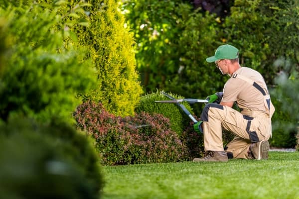 jardinier qui entretien un jardin a la francaise