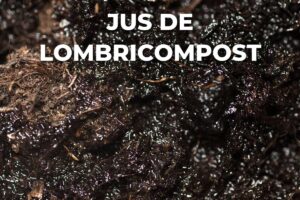 jus de lombricompost, utilisation : matière organique sombre et humide en gros plan