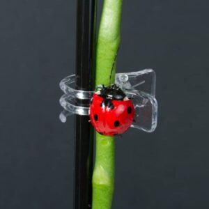 ladybug clip pince coccinelle growth technology 5025644911609 orchid focus auxine jardinerie alternative colmar